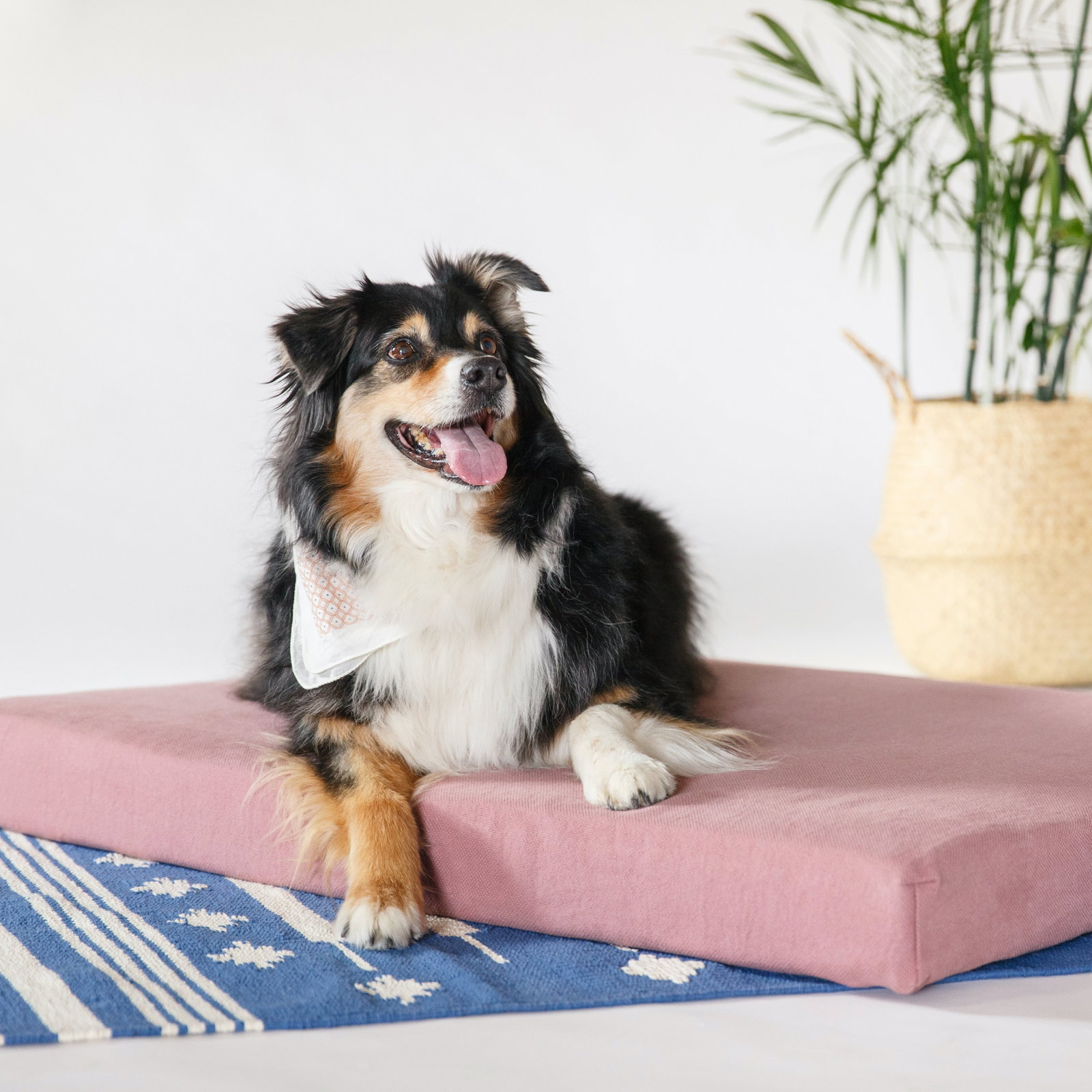 Avocado Organic Dog Bed