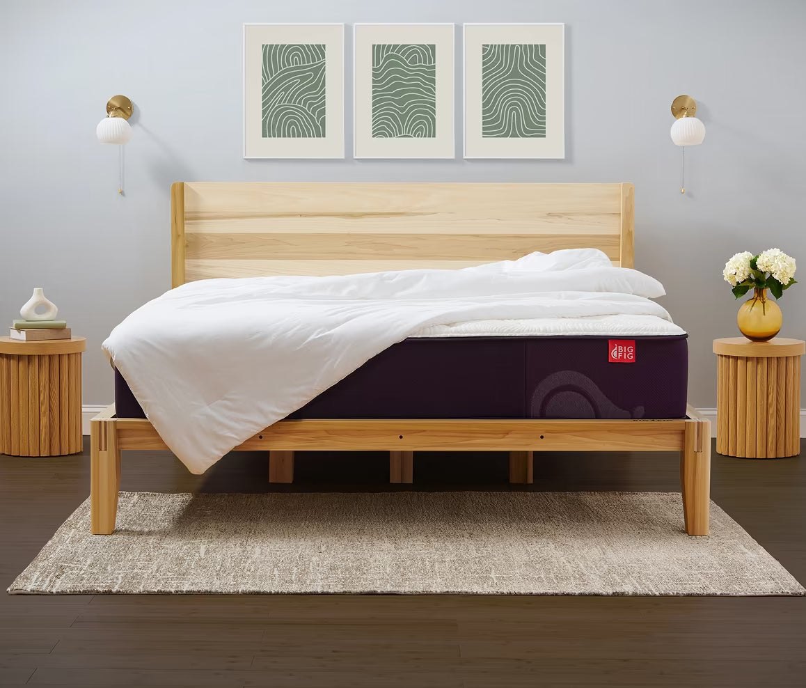 Big Fig Mattress mattress